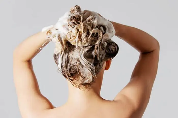 Tips for Choosing the Best Shampoo for Your Hair Type