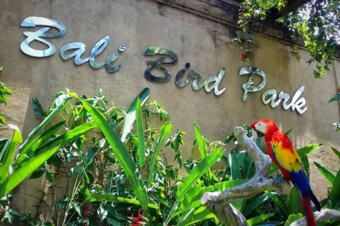 Bali Bird Park, Dive into the World of Exotic Birds from Around the World in Gianyar