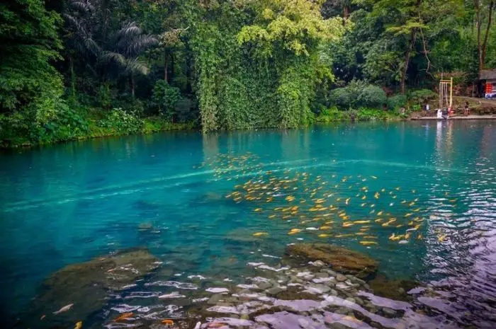 Cipanten Lake, Natural Tourism Offering a Lake with 7 Springs in Majalengka